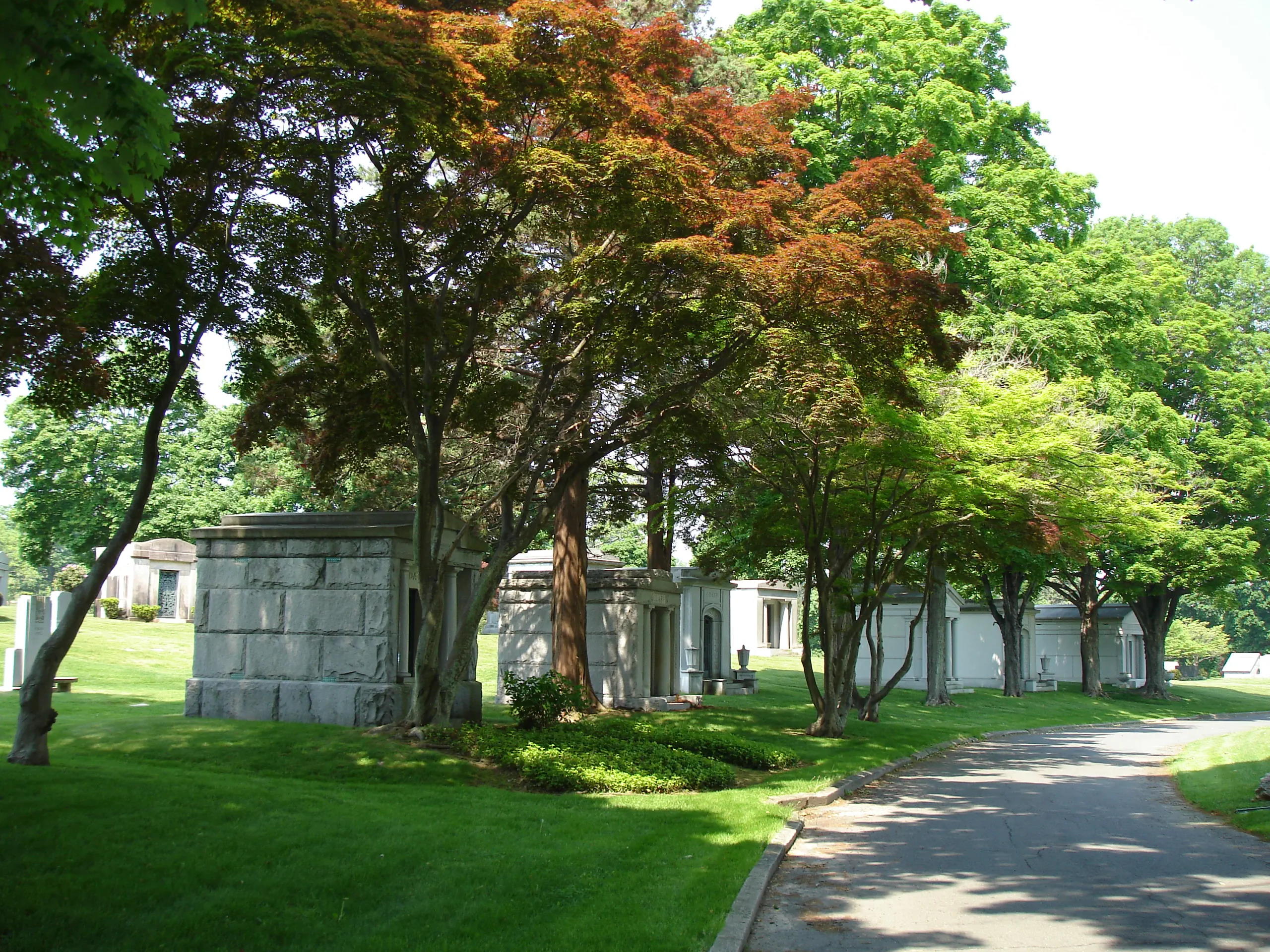 Cemetery path lined with mature trees and mausoleums