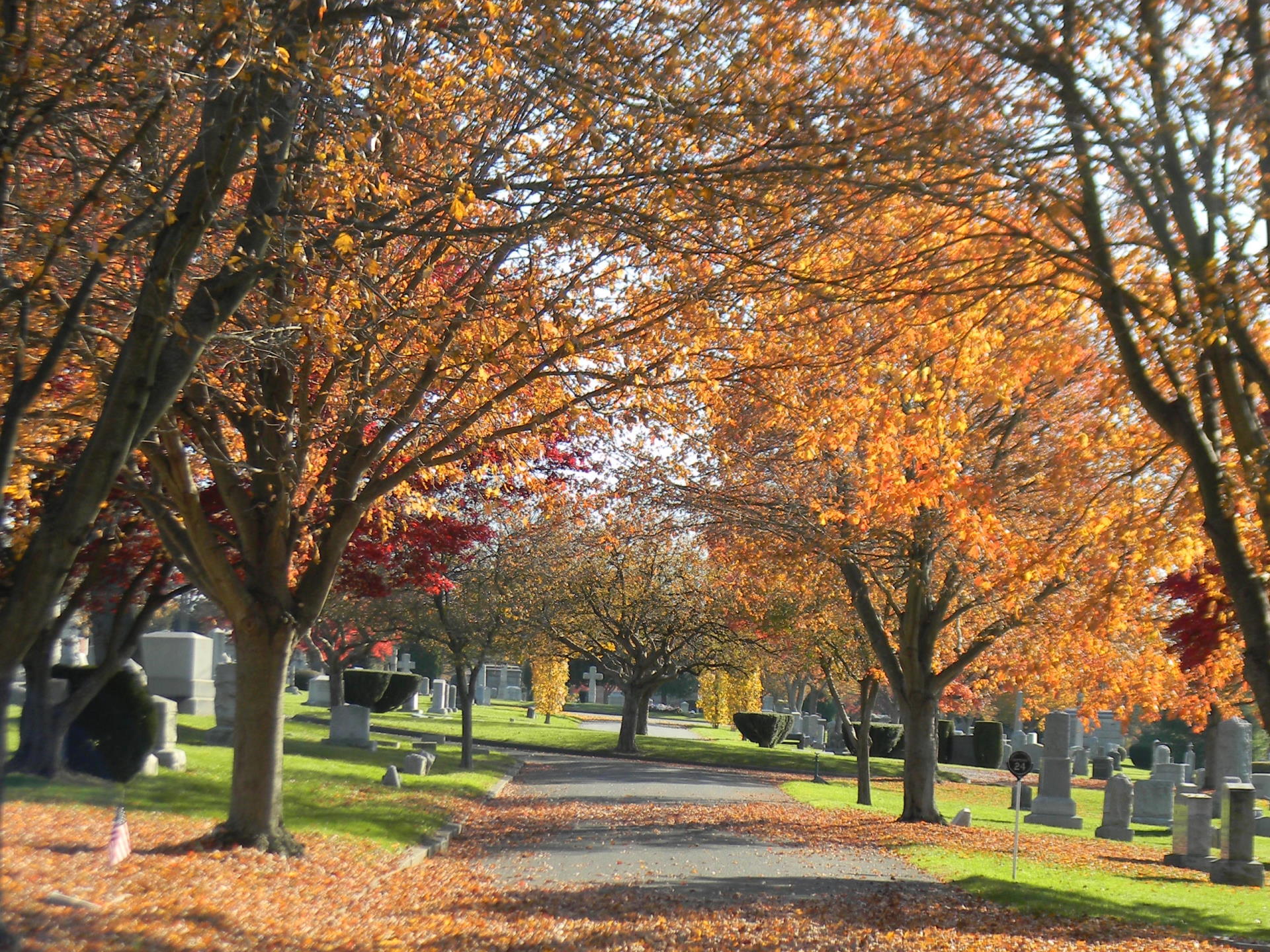 A path through the cemetery covered in fallen leaves, surrounded by trees in the fall.