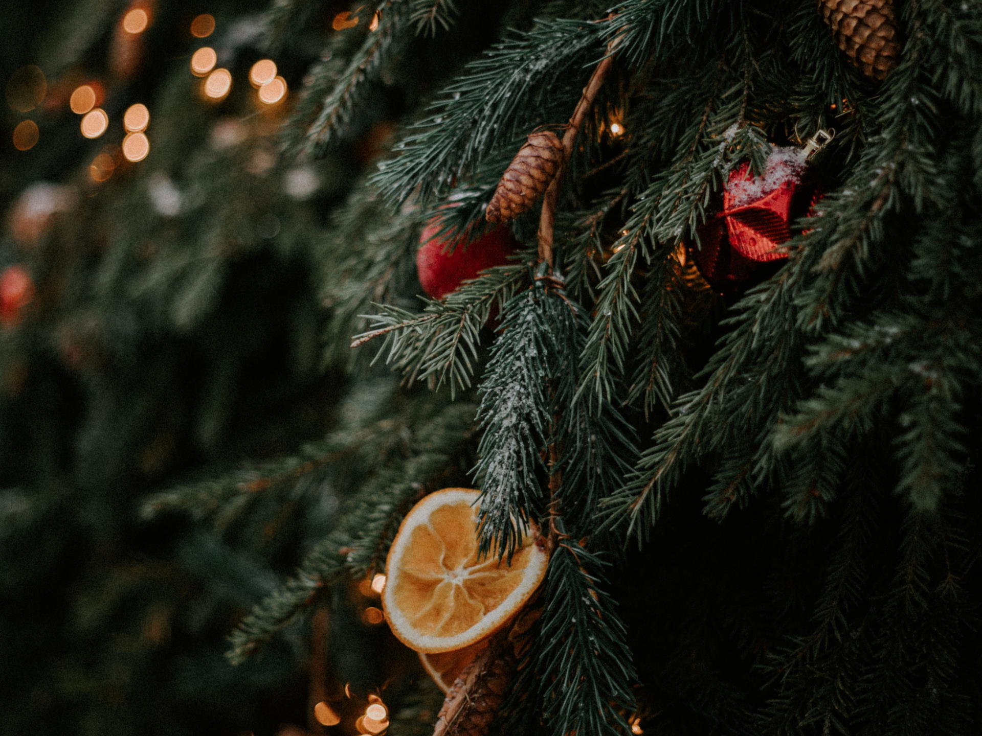 Pine branches decorated with red ornaments, pinecones, and dried orange slices, with white Christmas lights in the background.