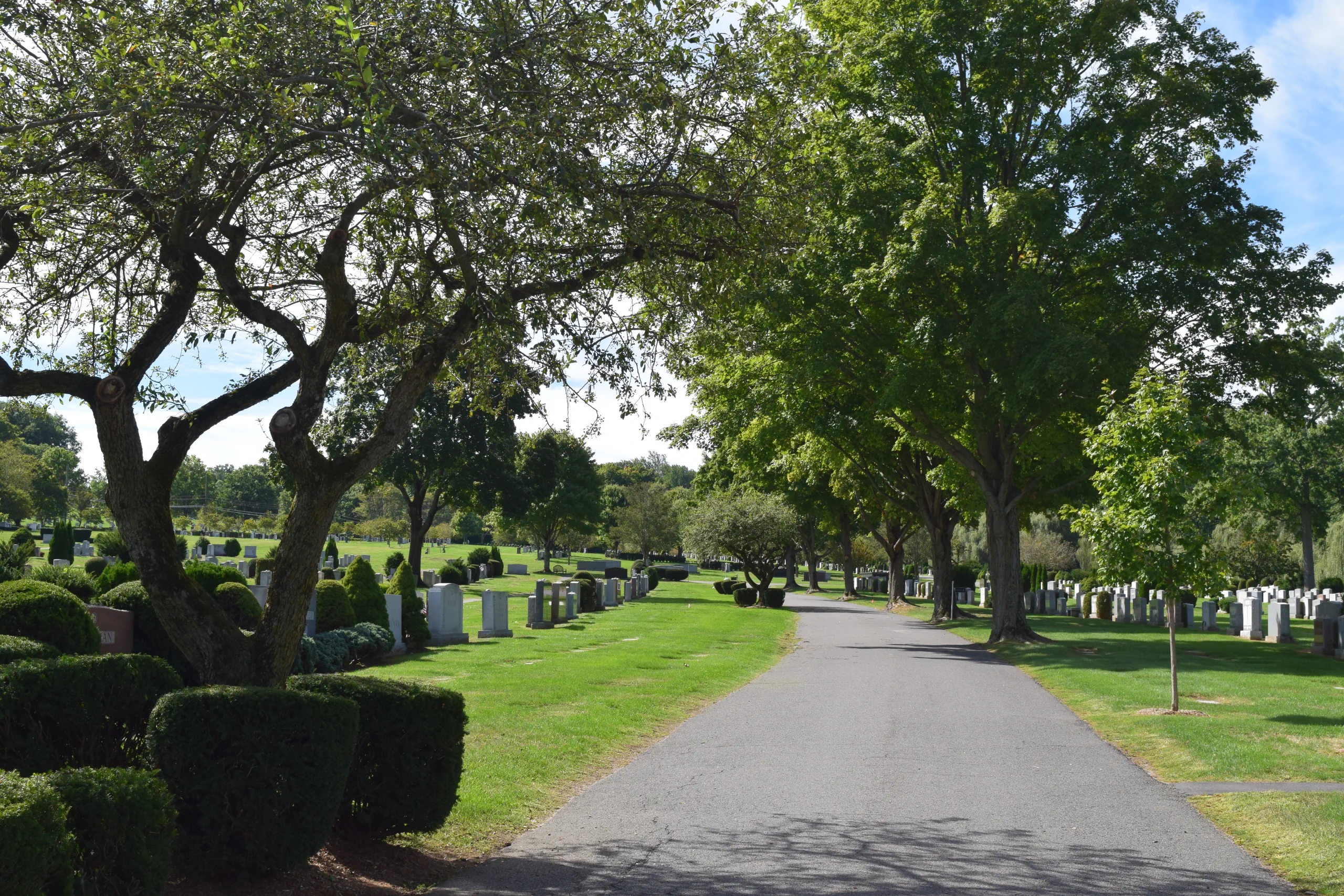 Pathway with mausoleums surrounded by trees with leaves changing color for autumn