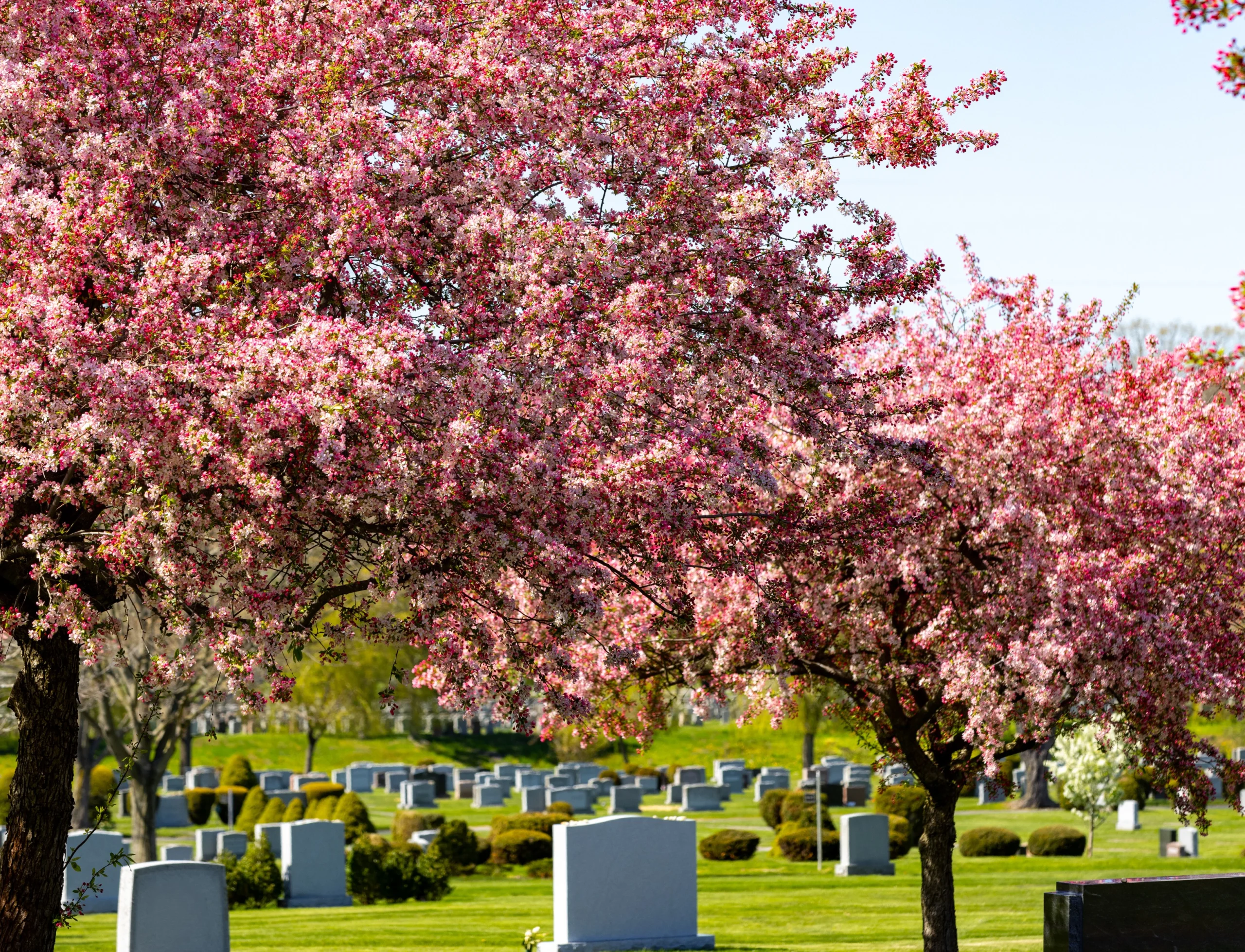 Pathway with mausoleums surrounded by trees with leaves changing color for autumn